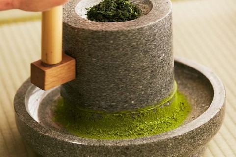 石臼で碾茶を挽き、抹茶に加工する