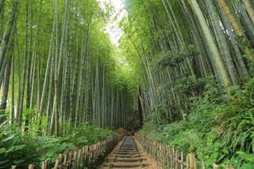 ひよどり坂（佐倉市）