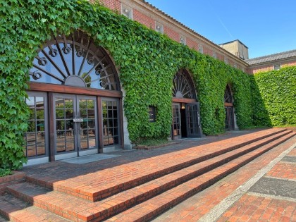 アイビー（蔦）が壁一面に広がる