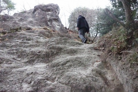 丸太で組まれた階段