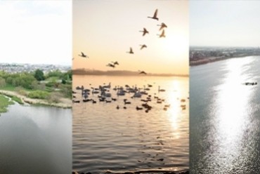 館林市のふるさと納税