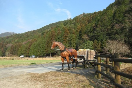 馬車の復元模型