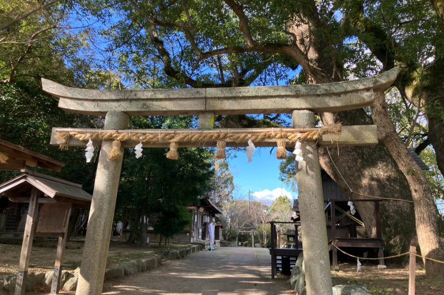 樹齢1000年の子守楠が出迎える藤白神社