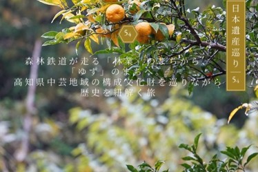 ゆずの木