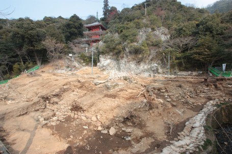 発掘で見つかった岩盤を背景にした庭園