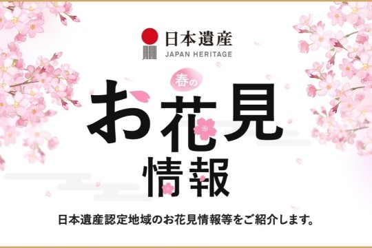 日本遺産　お花見情報