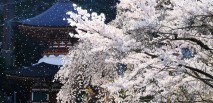 天野山金剛寺