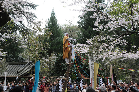 宝城坊（日向薬師）の「神木のぼり」