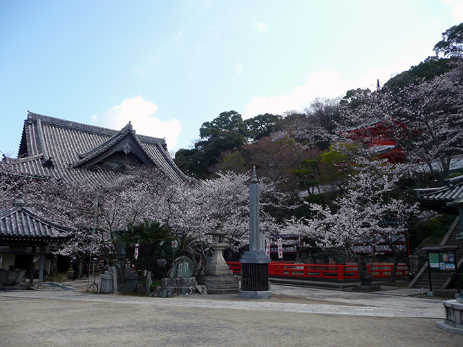 金剛宝寺（紀三井寺） 十一面観世音菩薩(御前立） ｜日本遺産ポータルサイト