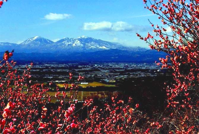 御亭山緑地公園