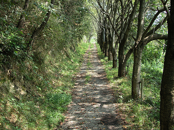赤穂鉄道軌道跡 