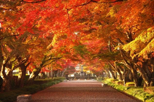 大山参道