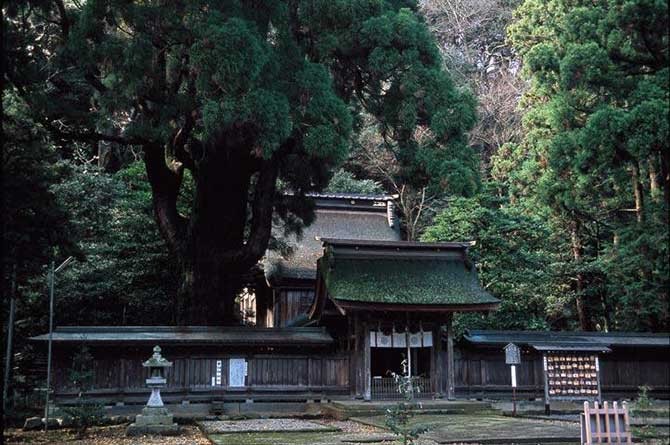 若狭姫神社(旧遠敷神社・下社)