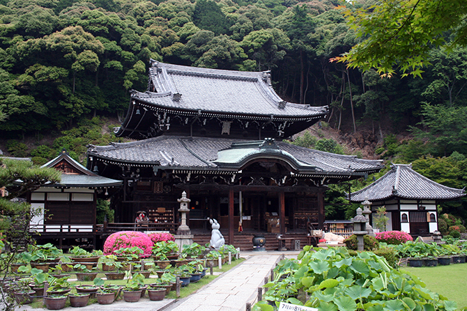 三室戸寺　本堂 