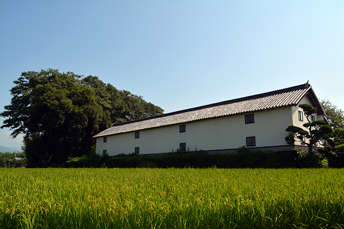 山川町諏訪の藍屋敷 