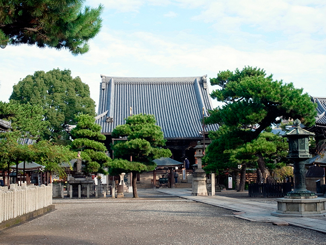 葛井寺　本堂 