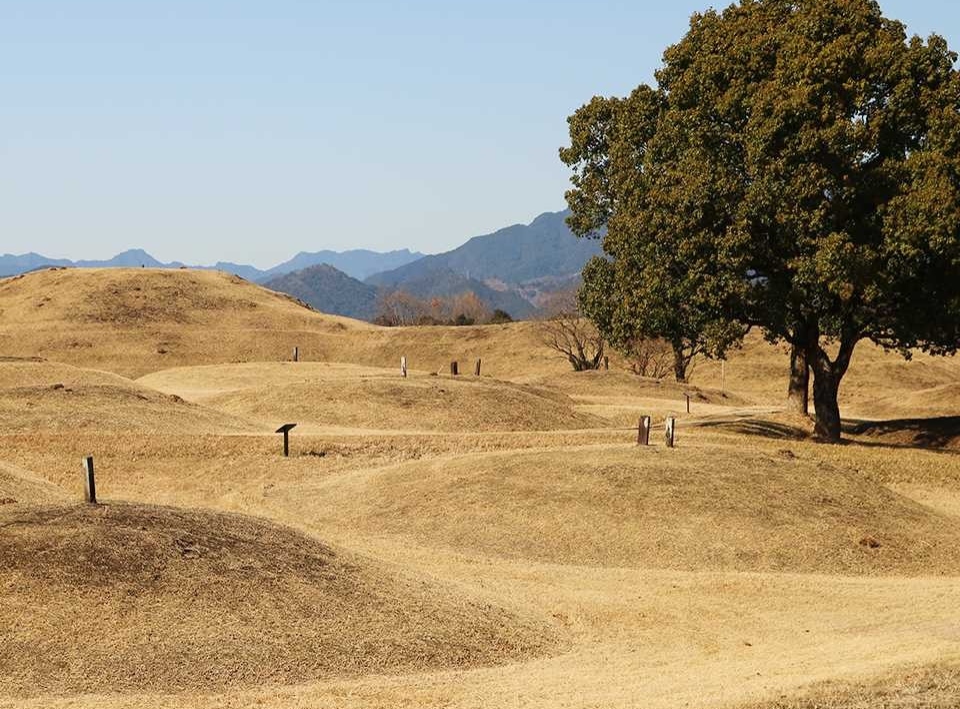 ◆宮崎古物店◆【古美術】【渡来】古田黄石『江南遊彫件』手彫　清朝期　時代物　根付　擺件　6.5x4.3x3.3センチ　139.8グラム 古代人のモニュメント｜日本遺産ポータルサイト
