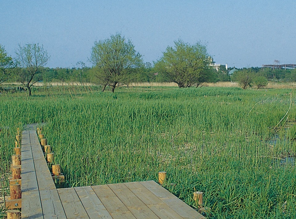 深森沼 里沼（SATO-NUMA） 宿泊先｜日本遺産ポータルサイト