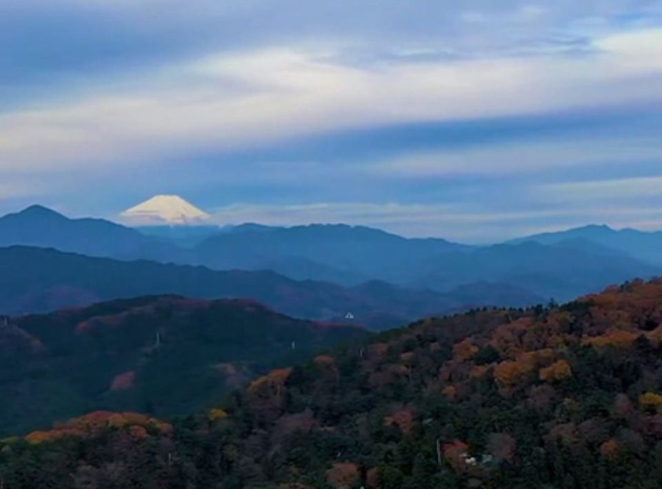 霊気満山 高尾山 お知らせ｜日本遺産ポータルサイト