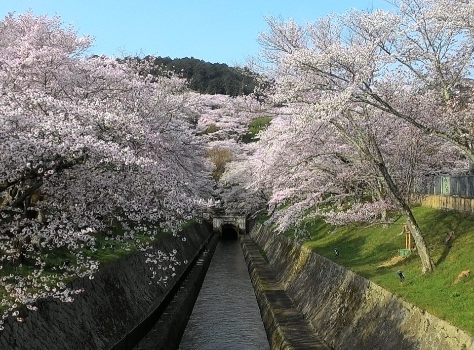 京都と大津を繋ぐ希望の水路 琵琶湖疏水 お知らせ｜日本遺産
