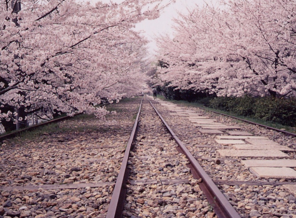 琵琶湖さん様 ローレルスタイル vol.72 Traveler 滋賀の絶景を写すフォト旅