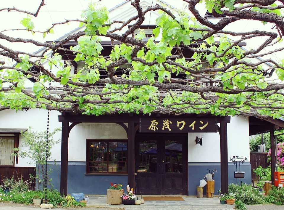 葡萄畑が織りなす風景｜日本遺産ポータルサイト