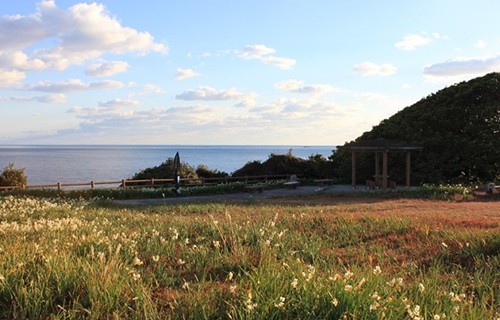 樫野崎の鯨山見