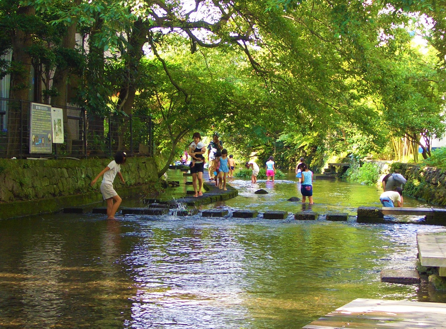 三島宿の湧水河川
