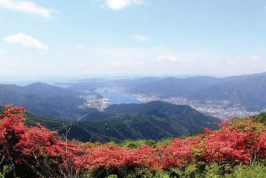 今出山