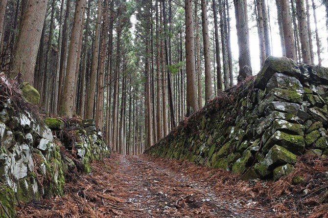 今出山金山跡