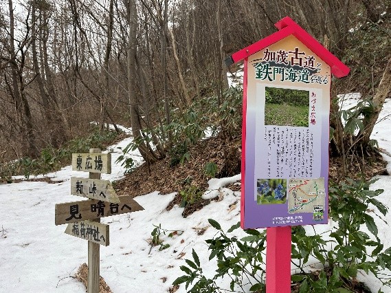 加茂坂峠道
