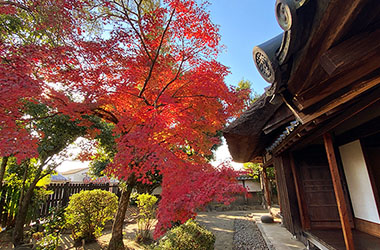 画像：史跡咸宜園跡