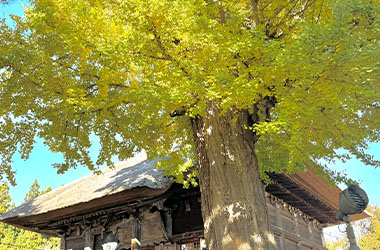 画像：恵隆寺