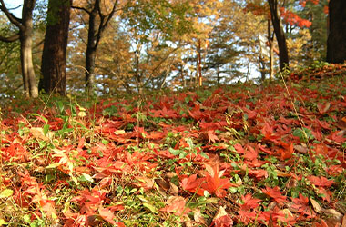 画像：雷山公園