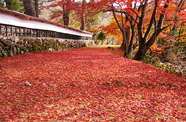 画像：福満虚空藏菩薩圓藏寺