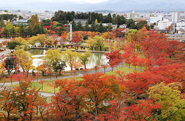 画像：開成山公園