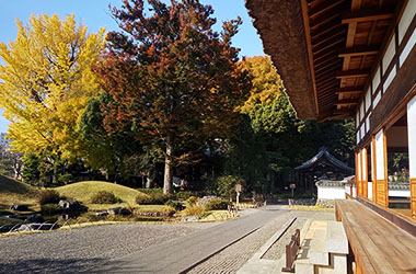 画像：史跡足利学校