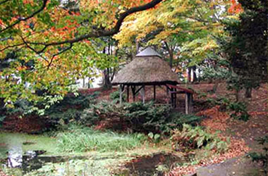 画像：千古園
