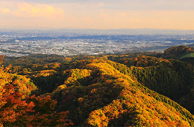画像：高尾山