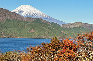 画像：神奈川県立恩賜箱根公園