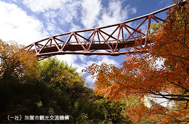 画像：鶴仙渓