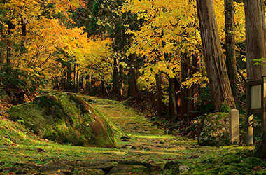 画像：白山平泉寺