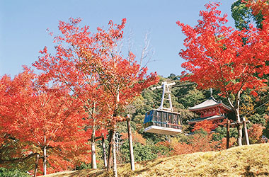 画像：岐阜公園