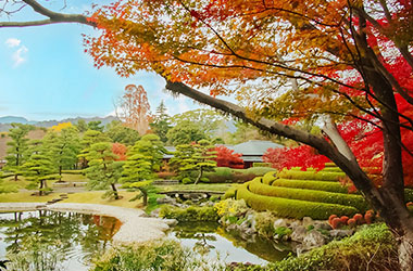 画像：駿府城公園　紅葉山庭園