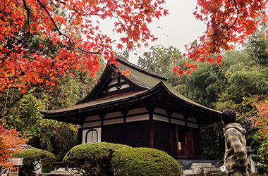 画像：芦浦観音寺