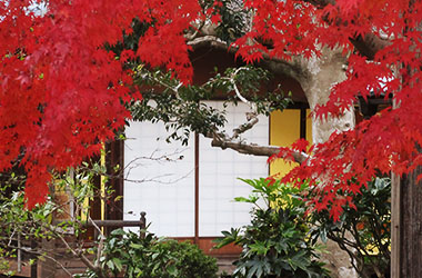 画像：大庄屋諏訪家屋敷