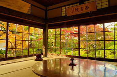 画像：天鼓林