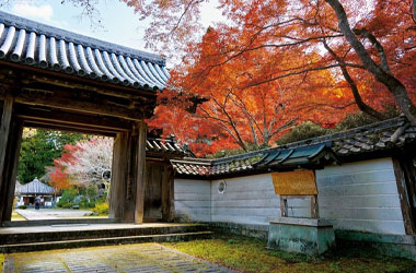 画像：延命寺