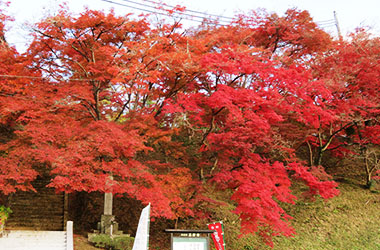 画像：石妙寺