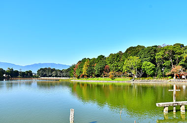 画像：橿原神宮